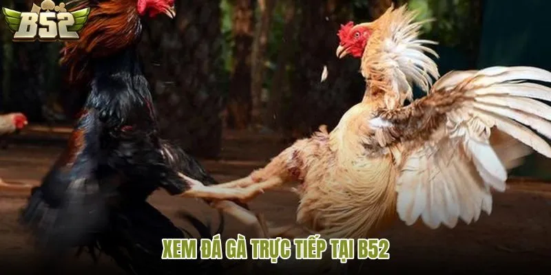 Những thông tin cần tiếp cận khách quan